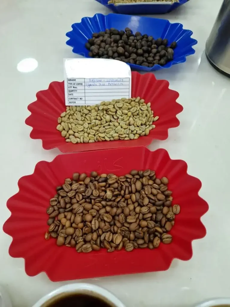 واردات قهوه از اوگاندا